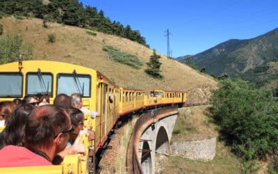 ACCIDENT DE PETIT TRAIN